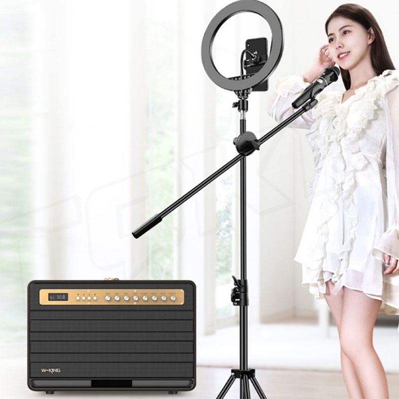 W-KING K6L 120W Large Retro Party Karaoke Wireless Bluetooth Speaker with Microphone, SubWoofer, Theatre, Apple Music