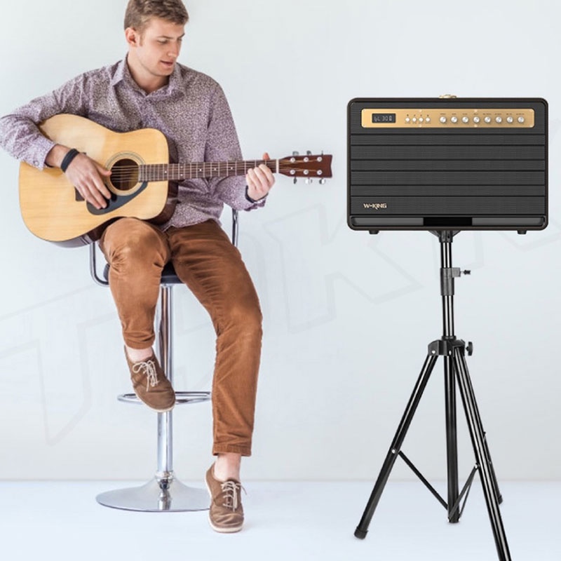 W-KING K6L 120W Large Retro Party Karaoke Wireless Bluetooth Speaker with Microphone, SubWoofer, Theatre, Apple Music