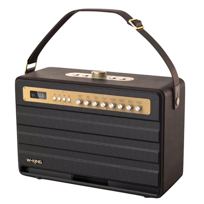 W-KING K6L 120W Large Retro Party Karaoke Wireless Bluetooth Speaker with Microphone, SubWoofer, Theatre, Apple Music