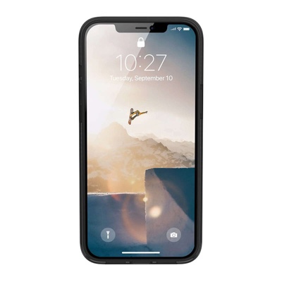 [U] iPhone 12 Pro Max (6.7) Aurora - Ash - 810070360306