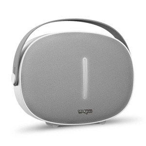 W-King T8 30W Outdoor Traveler Portable Wireless Bluetooth Speaker with Sub Woofer Bass HD Sound - Silver
