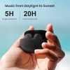 Haylou GT1 V23 True Wireless Earbuds with Dual-master Chip Bluetooth 5.3 20H Battery Life SBC/AAC Audio Codec - Black