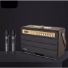 W-KING K6L 120W Large Retro Party Karaoke Wireless Bluetooth Speaker with Microphone, SubWoofer, Theatre, Apple Music